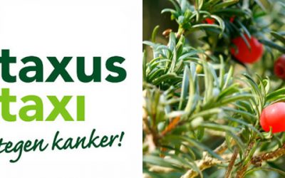 Taxus Taxi maakt resultaten taxusinzameling bekend
