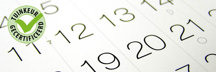 Kalender voor het nieuwe jaar