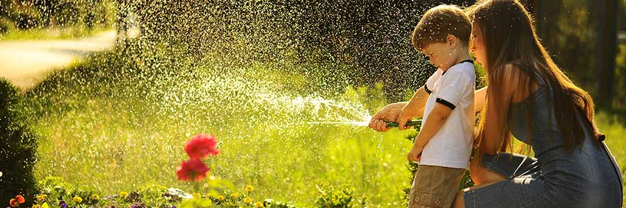Tuin water geven, de droogte houdt aan