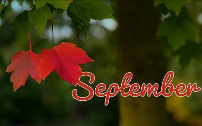 September: tuinonderhoud