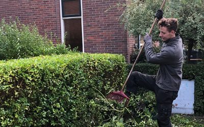 Chronisch zieke vrouw 63 kan tuin niet meer onderhouden. Hulp gevraagd!