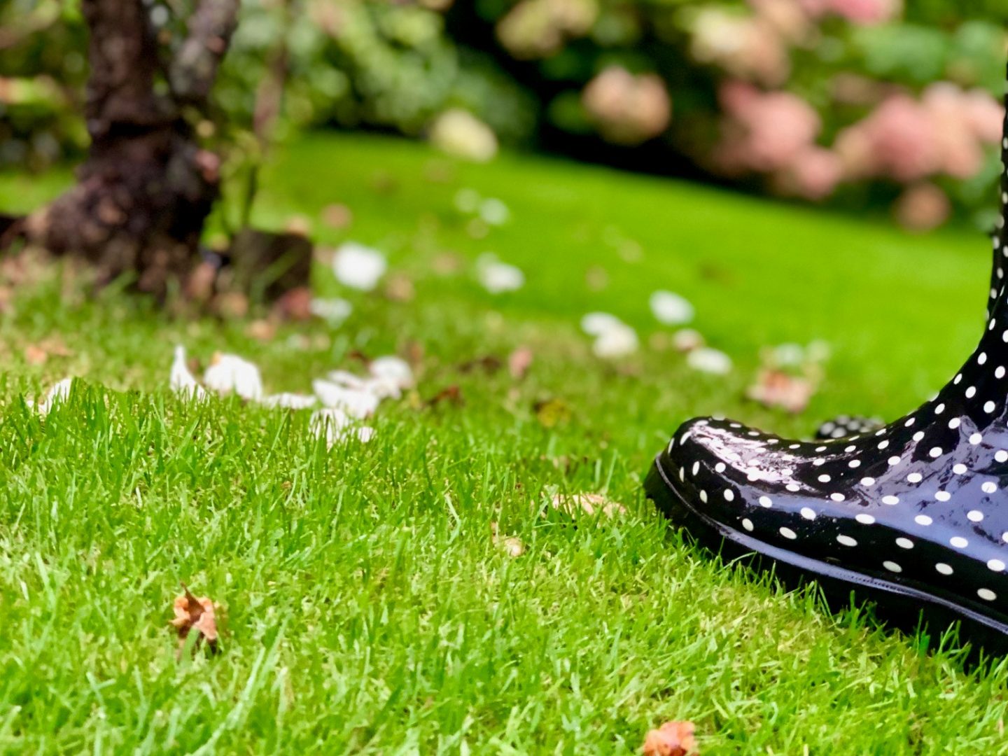 9 21 gras met laars beter