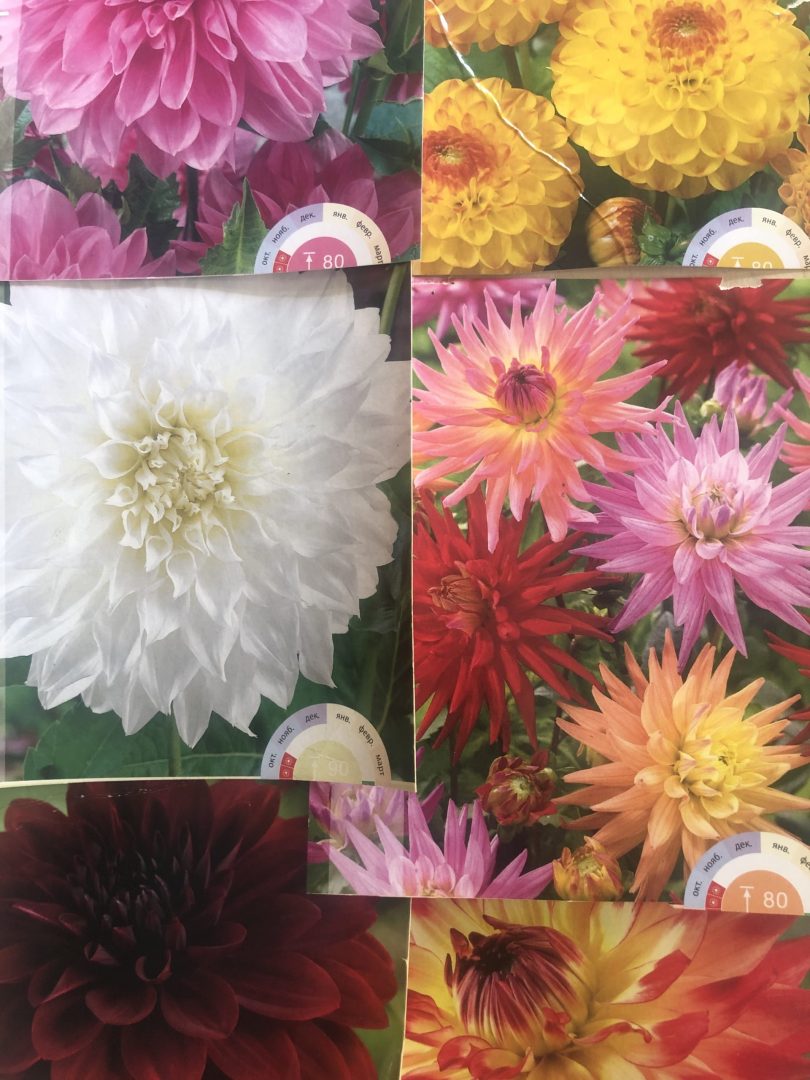 Diverse soorten en kleuren