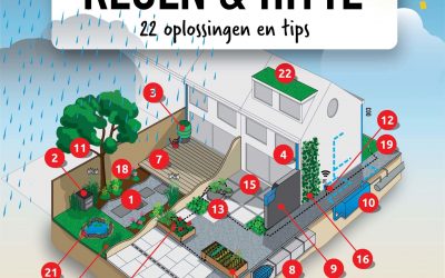 Infographic. Bescherm je tuin tegen regen en hitte