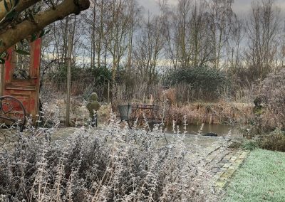 Blog: In de tuin van Jelle: Winter Tuin