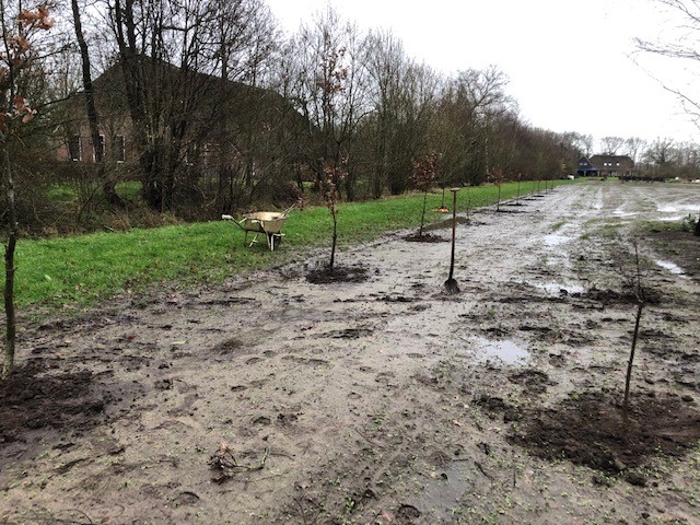Blog: In de tuin van Jelle: De Heerlyckheid steeds meer gestalte Blog: In de tuin van Jelle: De Heerlyckheid steeds meer gestalte