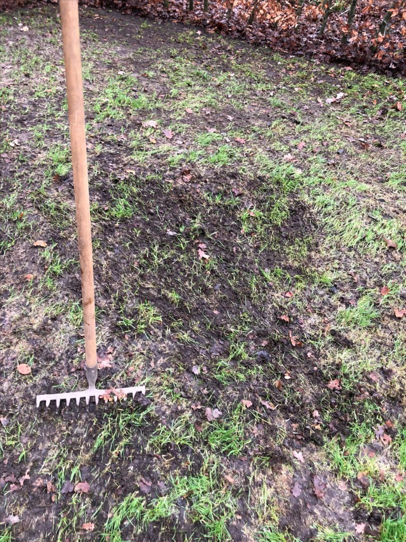Blog: In de tuin van Jelle: Kale plekken in je gras
