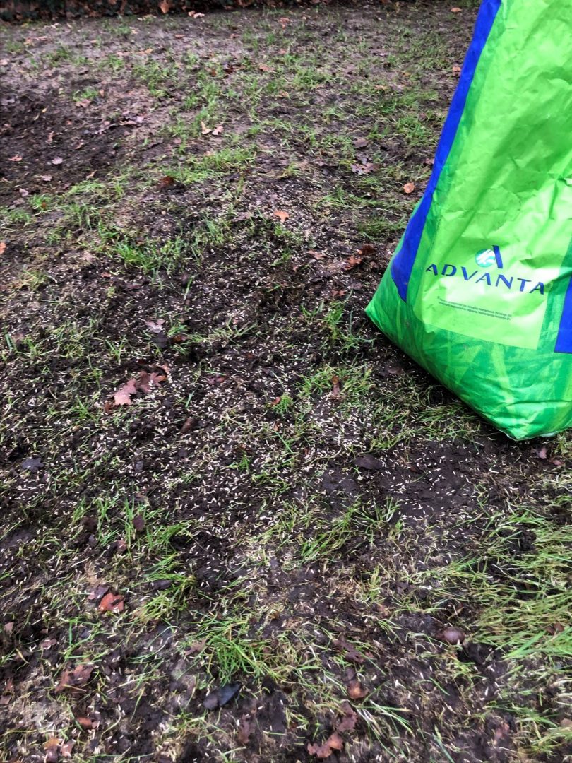 Blog: In de tuin van Jelle: Kale plekken in je gras Blog: In de tuin van Jelle: Kale plekken in je gras