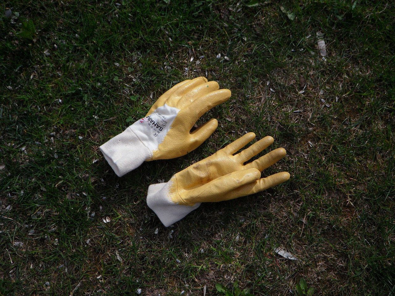 Rie ondernemerschap