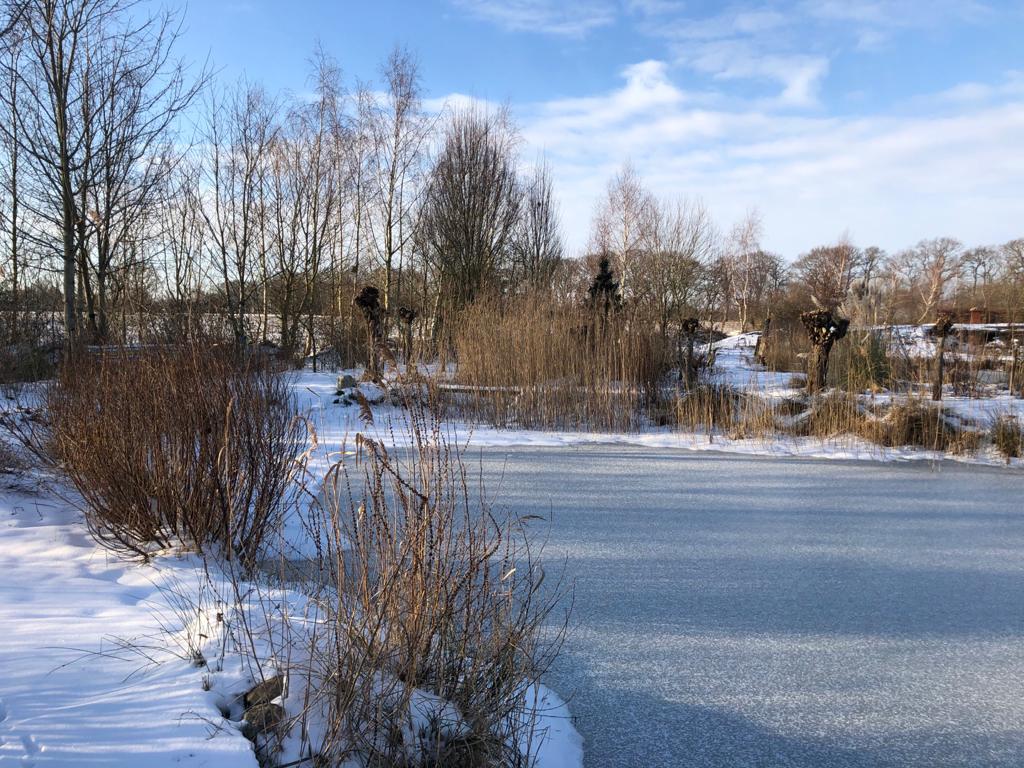 Blog: In de tuin van Jelle: Winter