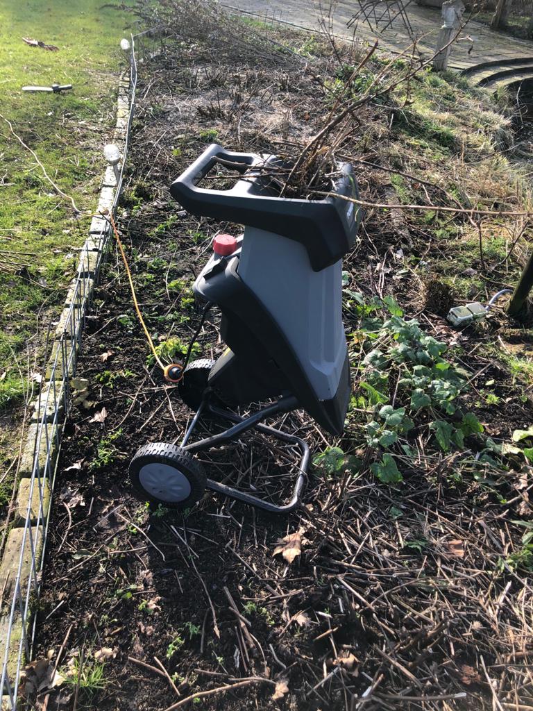 Blog: In de tuin van Jelle: Het voorjaar barst los Blog: In de tuin van Jelle: Het voorjaar barst los