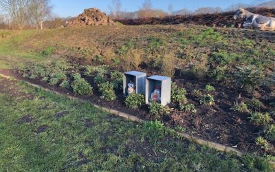 Blog: In de tuin van Jelle: Nieuwe border