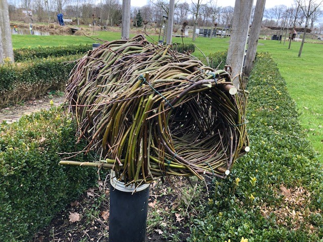Blog: In de tuin van Jelle: Elke vogel zijn eigen nest