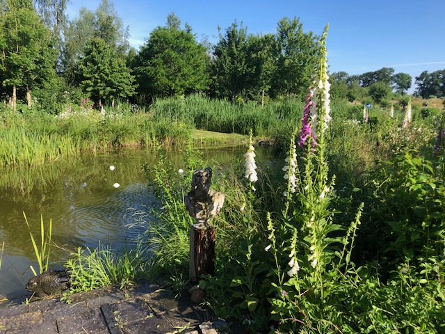 In de tuin van Jelle 2